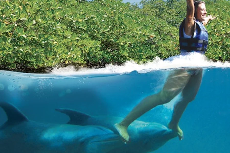 Delphinus Xcaret: Entry Ticket + Transfers + Swim with Dolphins, Playa Del Carmen