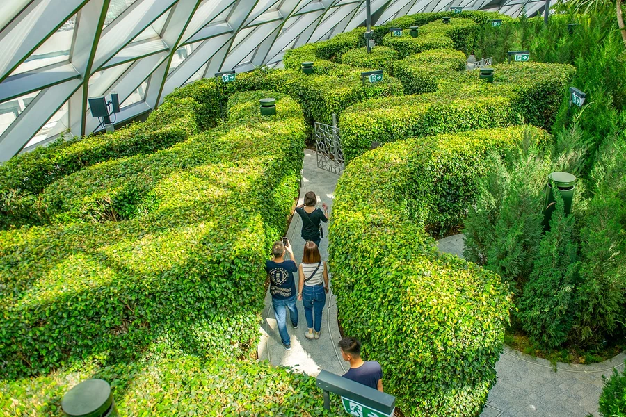 Bilhetes para o Jewel Changi Canopy Park com Redes, at Jewel Changi Airport, Singapore