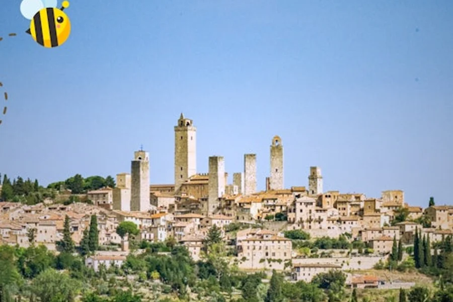 Siena & San Gimignano: Day Trip from Florence + Food & Wine Tasting, at San Gimignano, Siena Day Trips from Florence, Florence