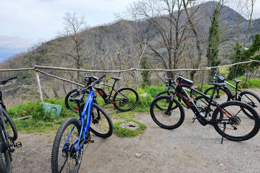 從索倫托:維蘇威火山導覽電動腳踏車之旅, at Sorrento, Pompeii and Naples