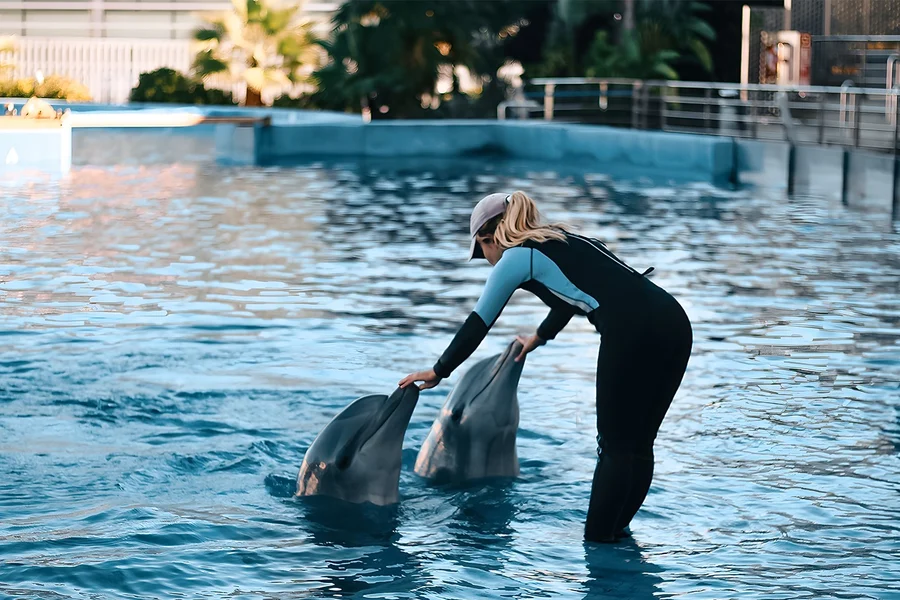 Combo: Oceanogràfic + Hemisfèric Tickets, Valencia