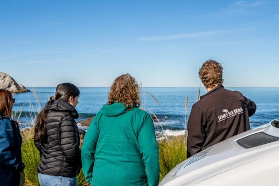 Kaikoura: Small-Group Guided Tour from Christchurch + Lunch, Christchurch