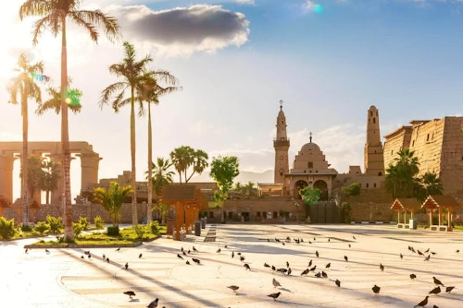 Luxor: Guided Day Tour to East and West Bank + Roundtrip Transfer, Luxor