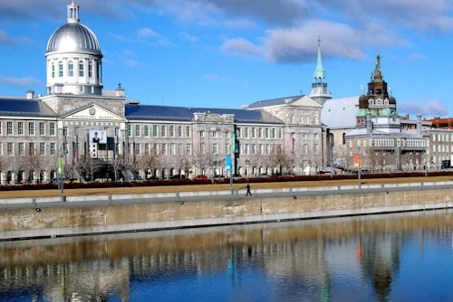 Heart of Montreal: Guided Bus Tour, Montreal