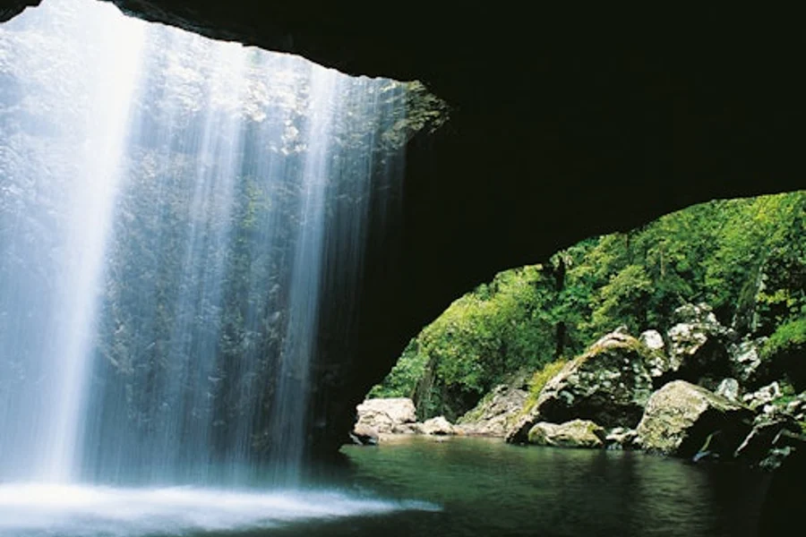 Tour de Natural Bridge y Cascadas de Springbrook desde Gold Coast, Natural Bridge