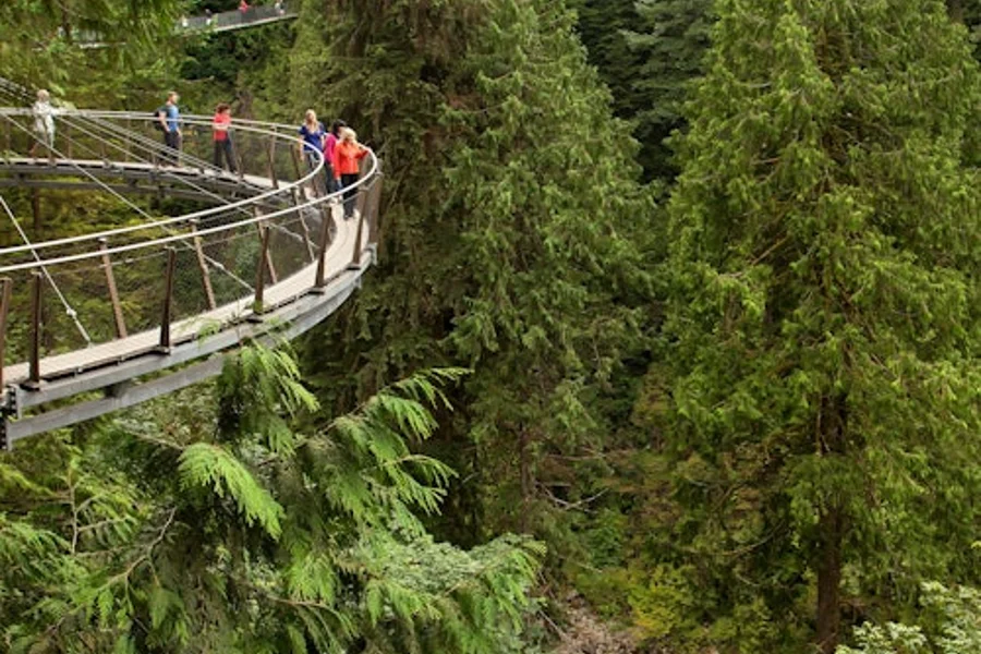 溫哥華:導覽團 + Capilano 懸索橋公園參觀 + 午餐, Vancouver