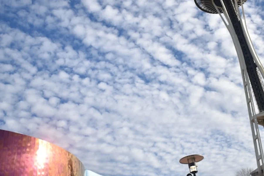 Seattle Center & Space Needle: Rondleiding te voet met gids, Seattle