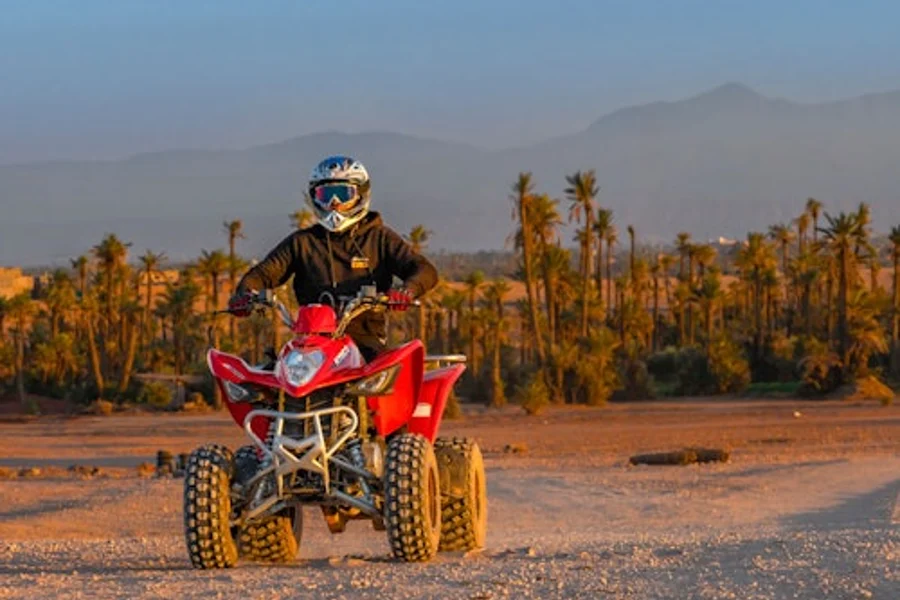 مراکش: سواری با کواد به مدت ۲ ساعت + حمل و نقل رفت و برگشت, at Quad Biking Marrakech, Marrakesh