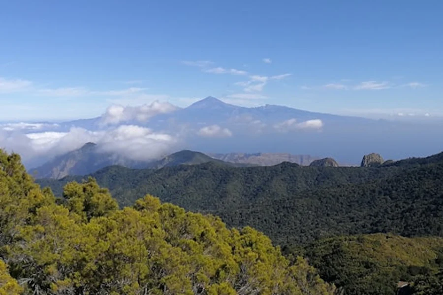 从特内里费岛出发的拉戈梅拉一日游, San Sebastian De La Gomera
