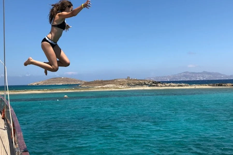 Rhenia: Yacht Cruise from Mykonos + Delos Guided Tour + Lunch, Greek Islands