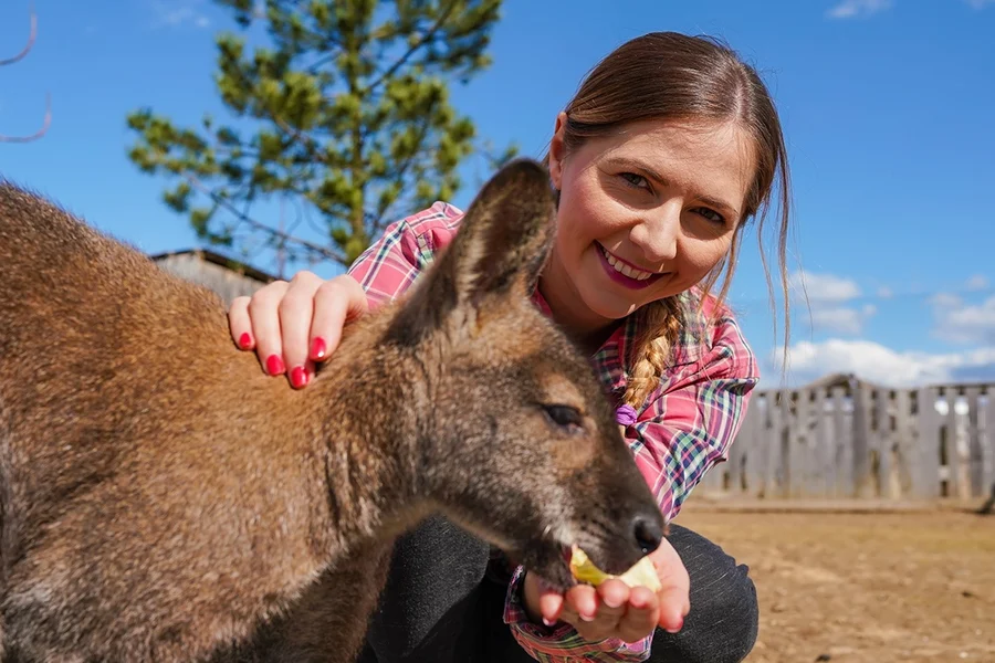 Dari Melbourne: Lawatan Pantai Brighton, Moonlit Sanctuary & Pulau Phillip dengan Perarakan Penguin, Melbourne