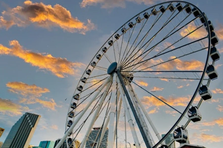 Skyviews Miami Observation Wheel: Entry Ticket, Miami