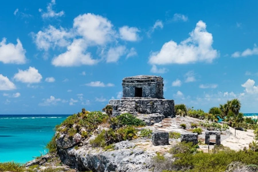 Tulum: Snorkeling with Turtles in Akumal + Mariposa Cenote + Lunch + Transfer, Playa Del Carmen