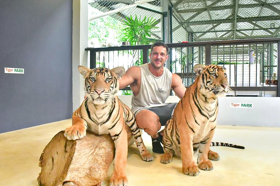 टाइगर पार्क टिकट्स और टाइगर इंटरैक्शन, at Tiger Park Pattaya, Pattaya