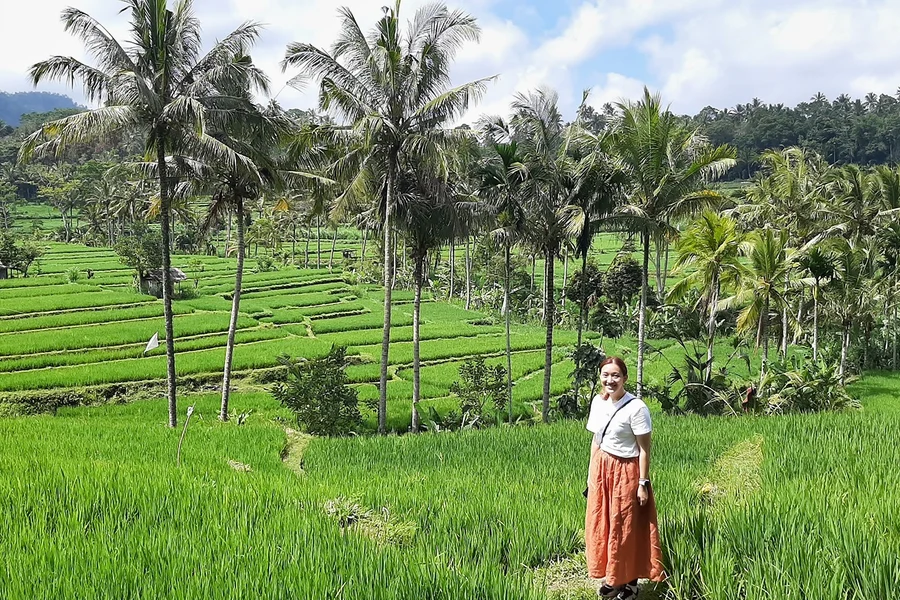 Privat Bali Ubud-tur: Tirta Empul, risterrasse og huske, at This Tour Starts and Ends at Your Hotel, Bali