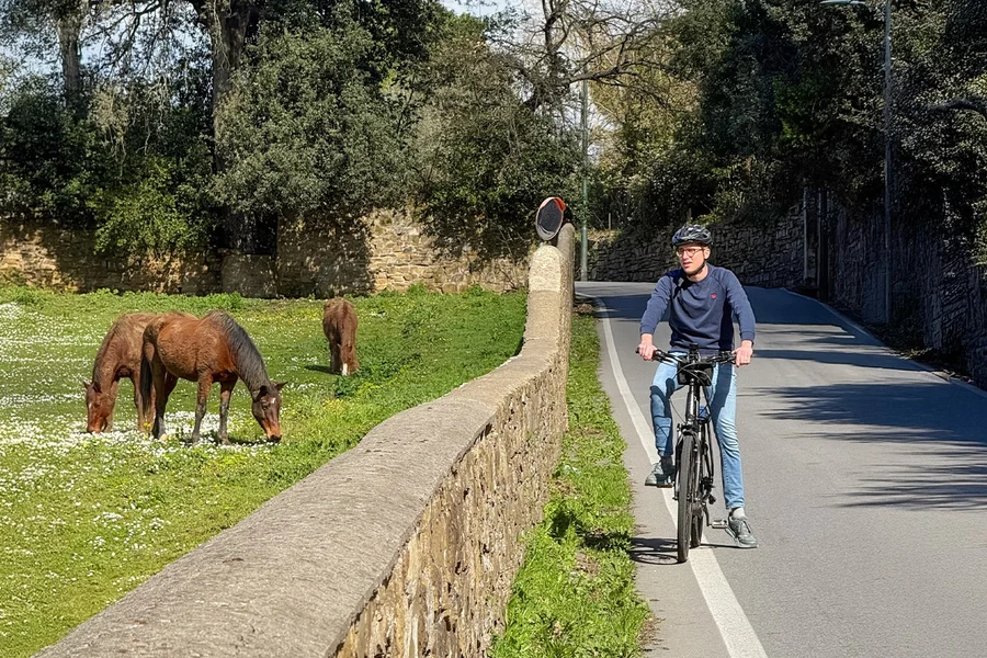 从佛罗伦萨出发:托斯卡纳和基安蒂地区电动自行车之旅,含午餐, Florence