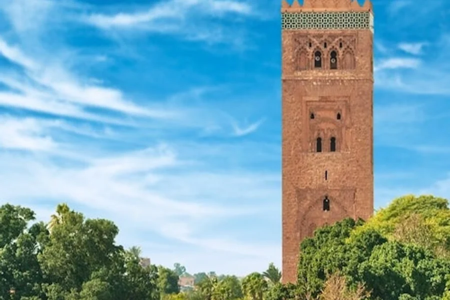 مراکش: تور خصوصی مدینه، کاخها و مقبرهها, at Marrakesh City Tours, Marrakesh