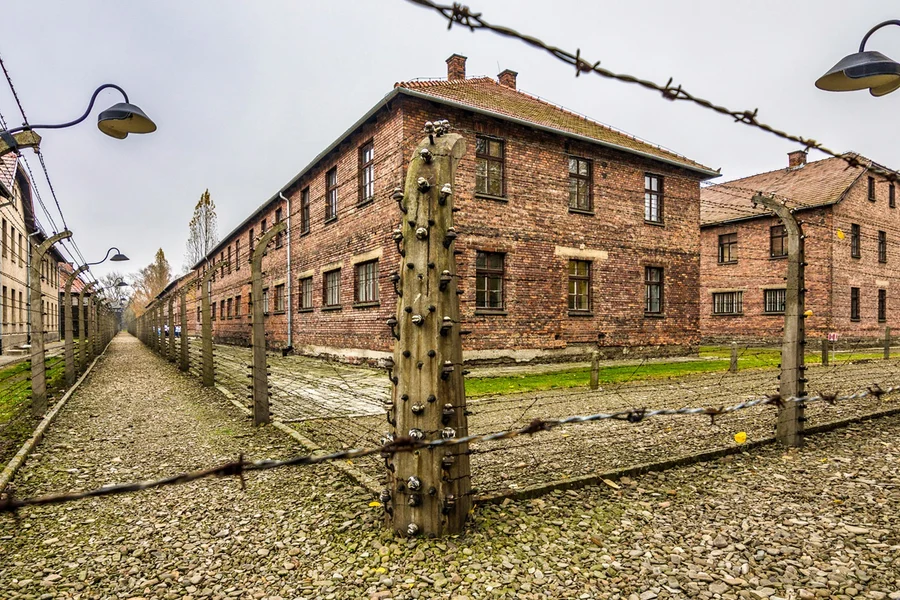Tour Guiado de Auschwitz-Birkenau con Almuerzo y Traslados desde el Centro de Cracovia, Krakow