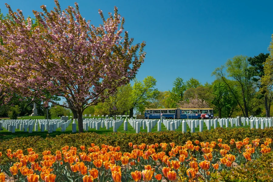 Arlington National Cemetery Tour, Washington DC