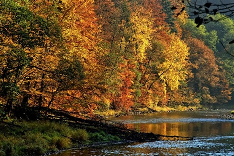 Cracovia: Tour de Rafting en el Río Dunajec, Traslado Redondo + Almuerzo, Krakow