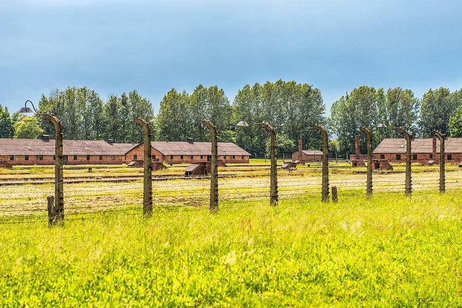 Desde Cracovia: Tour Guiado a Auschwitz-Birkenau con Traslados desde el Hotel, Krakow