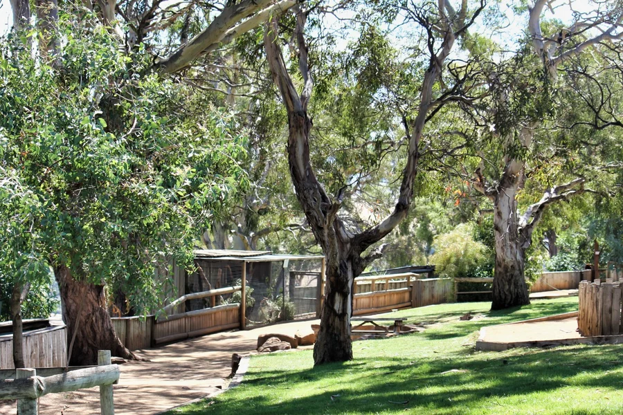 Bonorong 野生动物保护区门票, Hobart