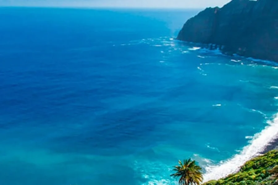 La Gomera: Guided Tour + Ferry Ride + Lunch + Transfer, at La Gomera Day Trips from Tenerife