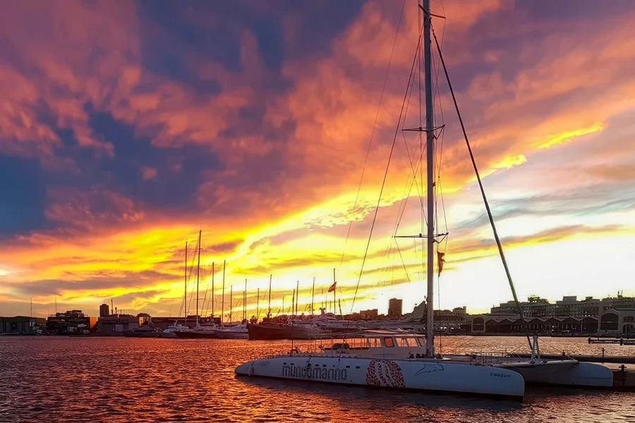 Valencia: Sunset Catamaran Cruise, Valencia