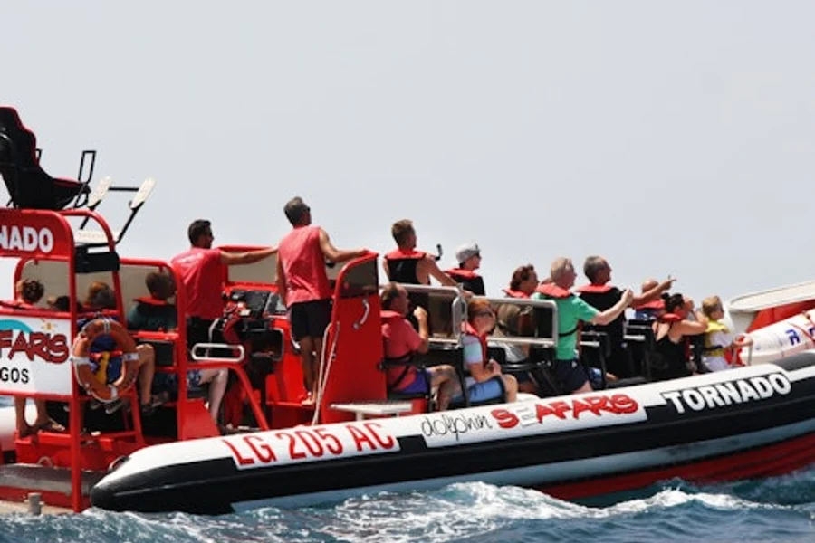 Algarve: Guided Dolphin Watching Tour, Lagos