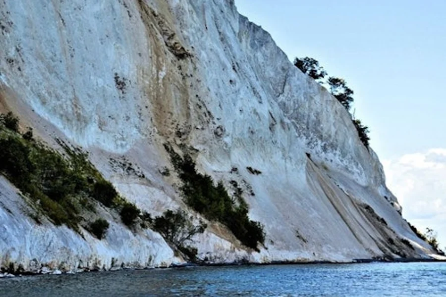 Møns Klint & Forest Tower: Day Trip from Copenhagen, Copenhagen