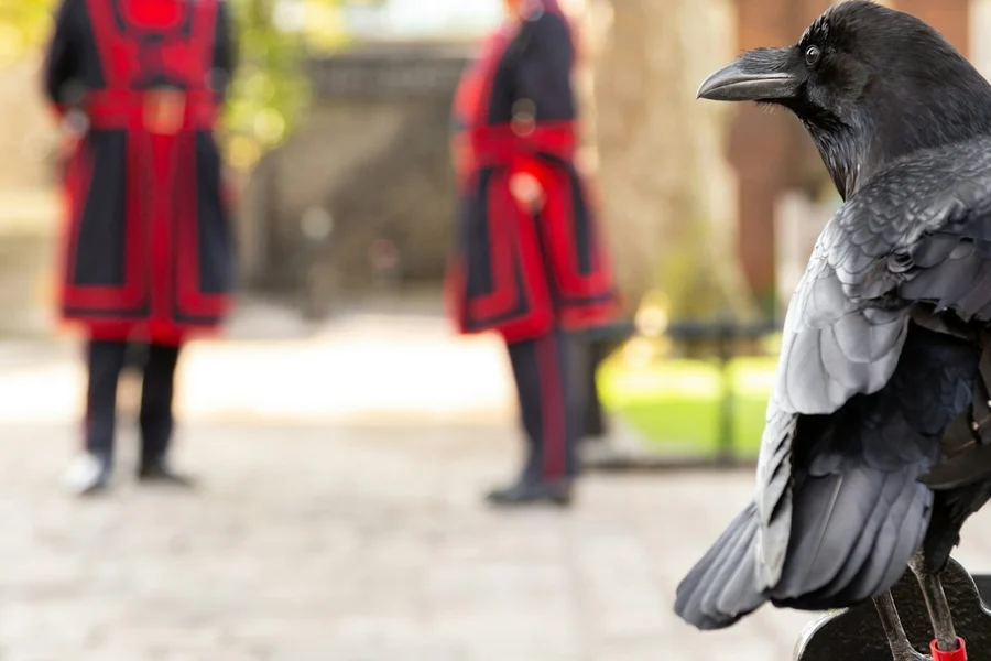 Tower of London: Guided Tour with a Beefeater, at Tower of London