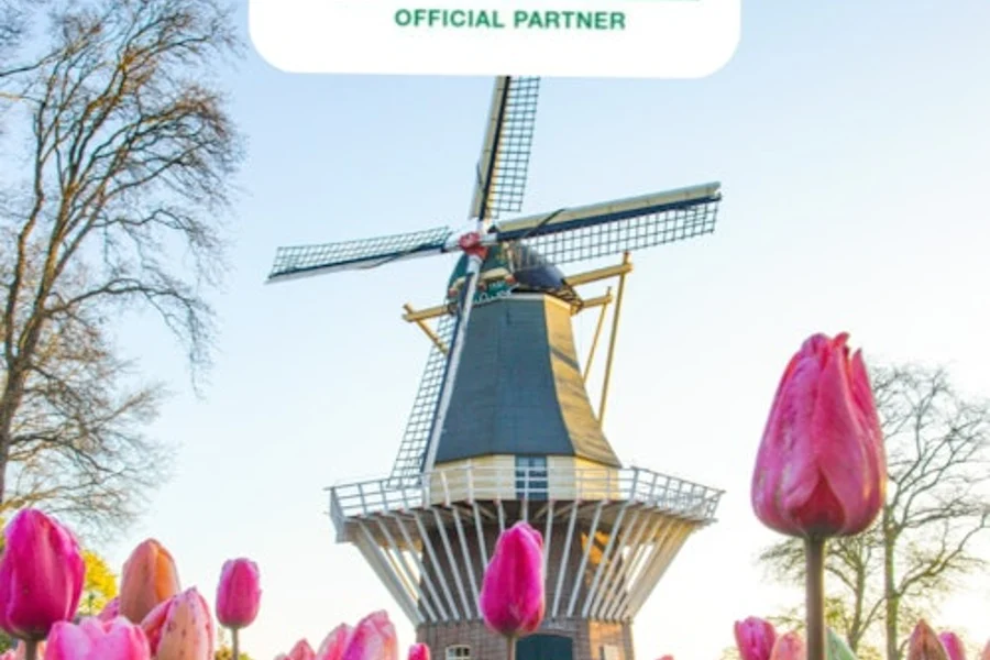 Keukenhof: Entry + Roundtrip Bus Transfer from Rotterdam, Lisse