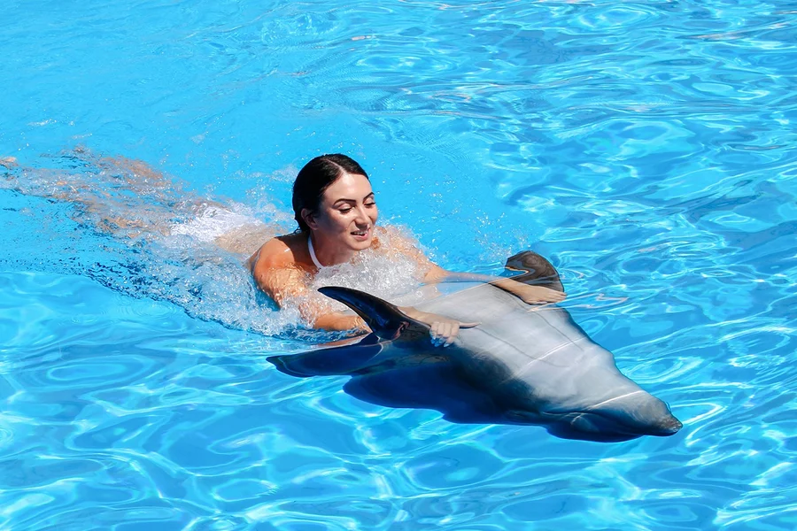 डॉल्फिनैरियम पटाया - डॉल्फिन के साथ तैराकी का अनुभव, at Dolphinarium Pattaya, Pattaya