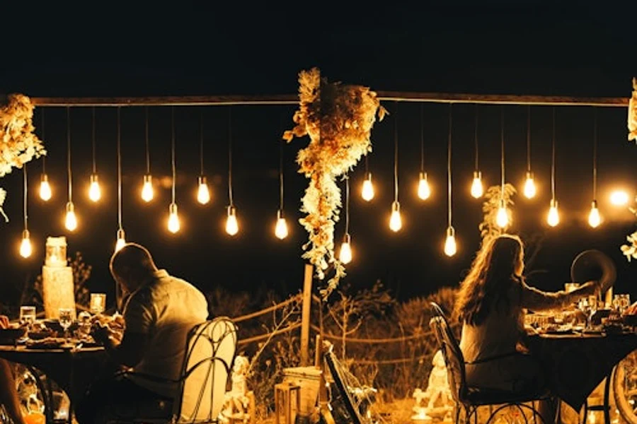 Cappadocia: Dinner in the Valley