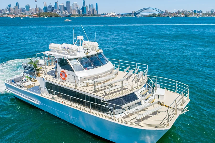 Sydney Whale Watching Cruise, Sydney