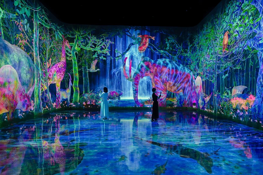 チームラボ プラネッツ東京チケット, at Tokyo, Japan, Tokyo