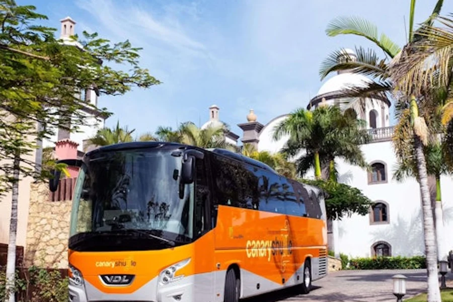 Tenerife: Bus Transfer from South Airport to Los Cristianos, Tenerife