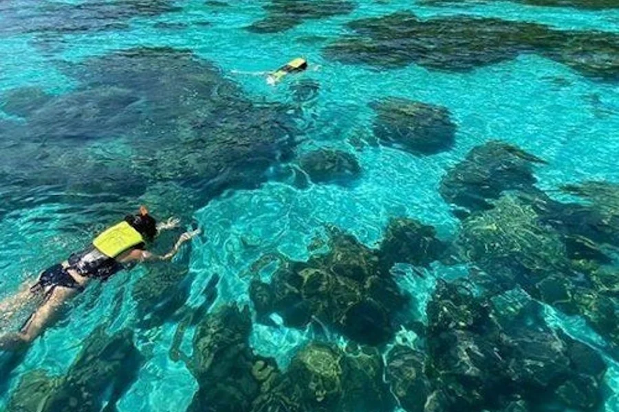 Krabin päivänmatka Koh Rokin ja Koh Haan saarille Aonangista, Krabi
