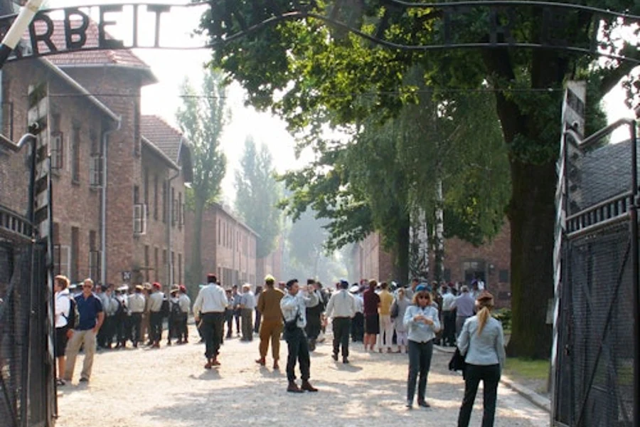 Auschwitz-Birkenau: Guided Tour + Transport + Lunch, Auschwitz