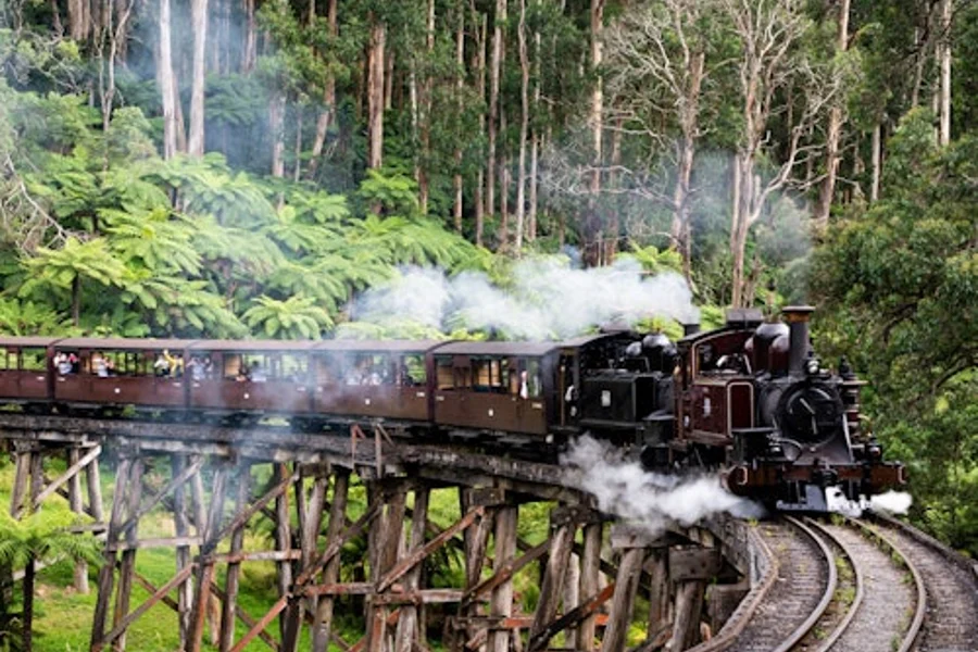 Puffing Billy Railway: Biyahe at Wildlife Tour kasama ang Mga Transfer, Belgrave
