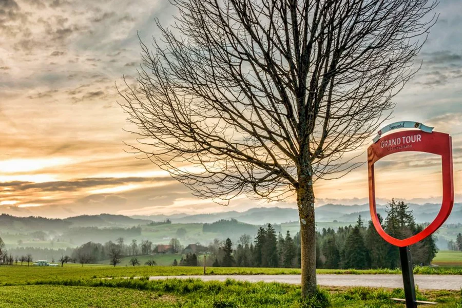 Tour trọn ngày có hướng dẫn tại Bern từ Zürich kèm nếm thử bánh quy & phô mai, Zurich