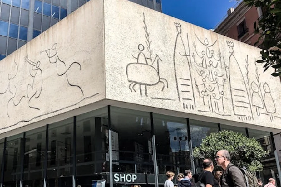 Barcelona: Picasso Museum Skip The Line Ticket + City Walking Tour, at Picasso Museum, Barcelona