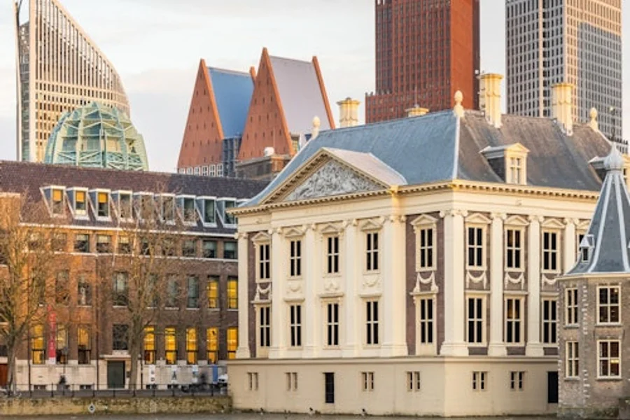Mauritshuis Museum + Escher in The Palace, The Hague