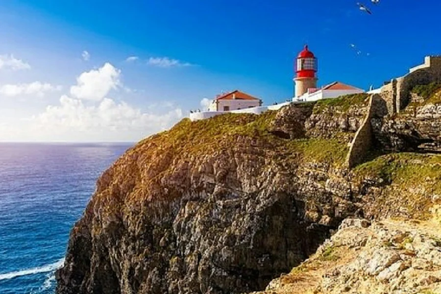 Lagos & Sagres: Half-Day Trip from Albufeira + Roundtrip Transfer, Albufeira