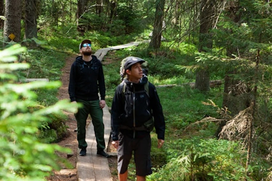Helsinki: Magical Taiga Forest Hike, Helsinki