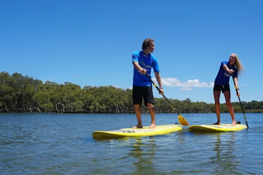 Byron Bay: 2.5-Hour Group Stand-Up Paddleboard Tour, Byron Bay
