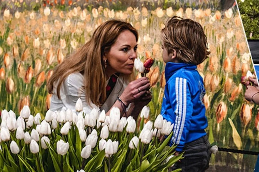 Keukenhof & Tulip Experience: Entry Ticket + Return Bus Transfer, Lisse