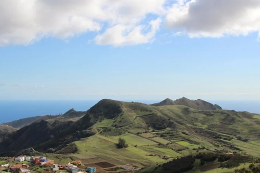 Santa Cruz, La Laguna, and Anaga: Guided Tour + Transportation, Tenerife