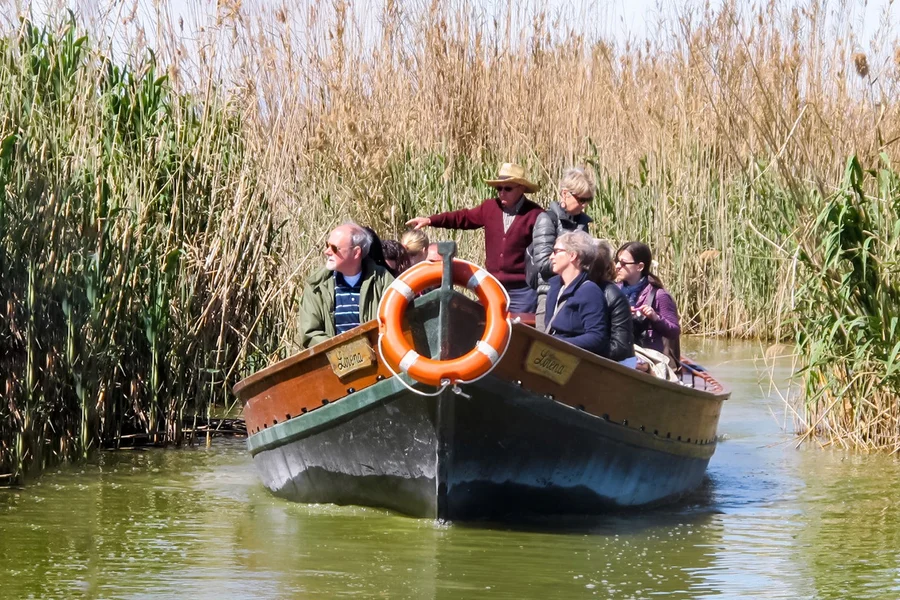 Bus Service at Albufeira Natural Park with a Boat Ride, Valencia