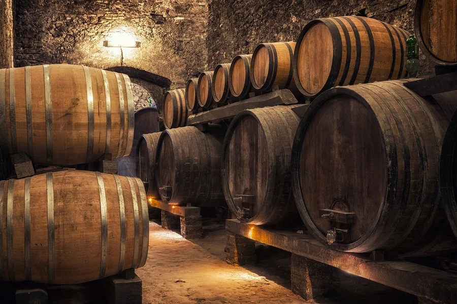 托斯卡纳葡萄酒和橄榄油之旅:佛罗伦萨出发的小团体游, Florence